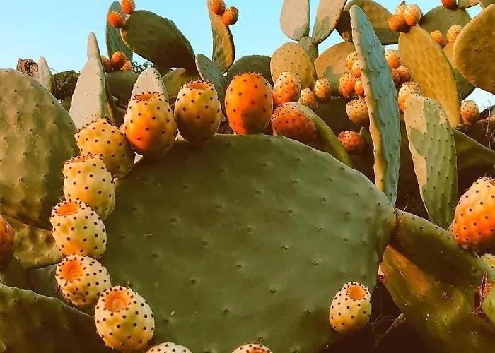 Trullo Innamorato Apartman *