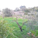 Trullo Innamorato Διαμέρισμα