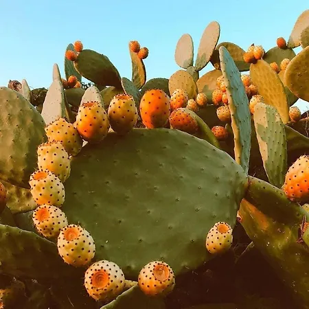 Trullo Innamorato 아파트 *